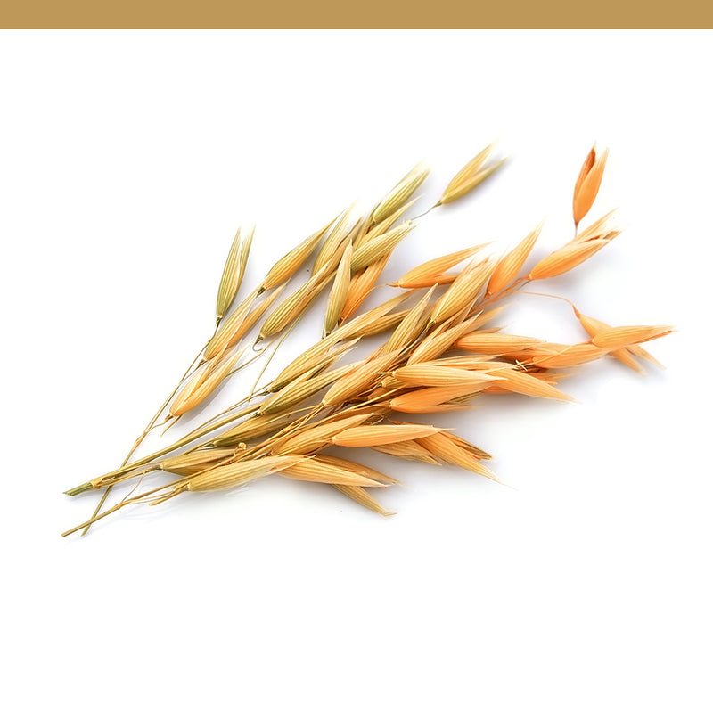 Oat