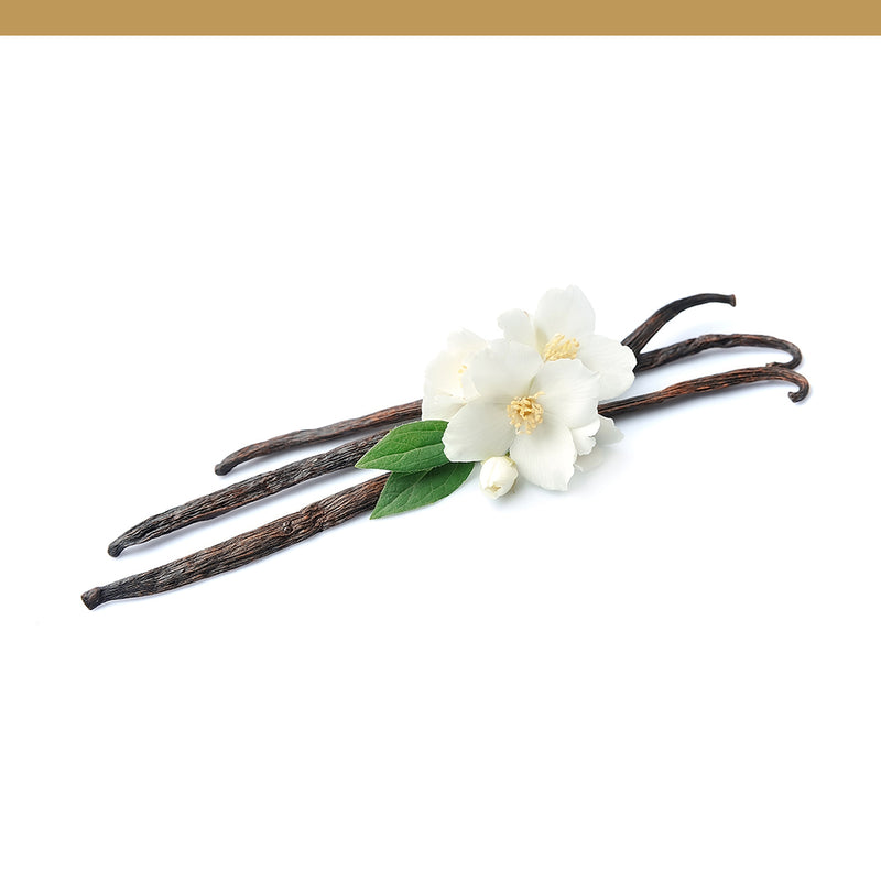 Vanilla
